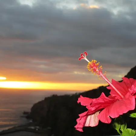 Sea Sky By Madeira Lejlighed *